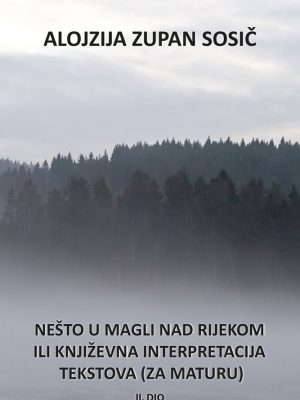 Nešto u magli nad rijekom ili književna interpretacija tekstova (za maturu)
